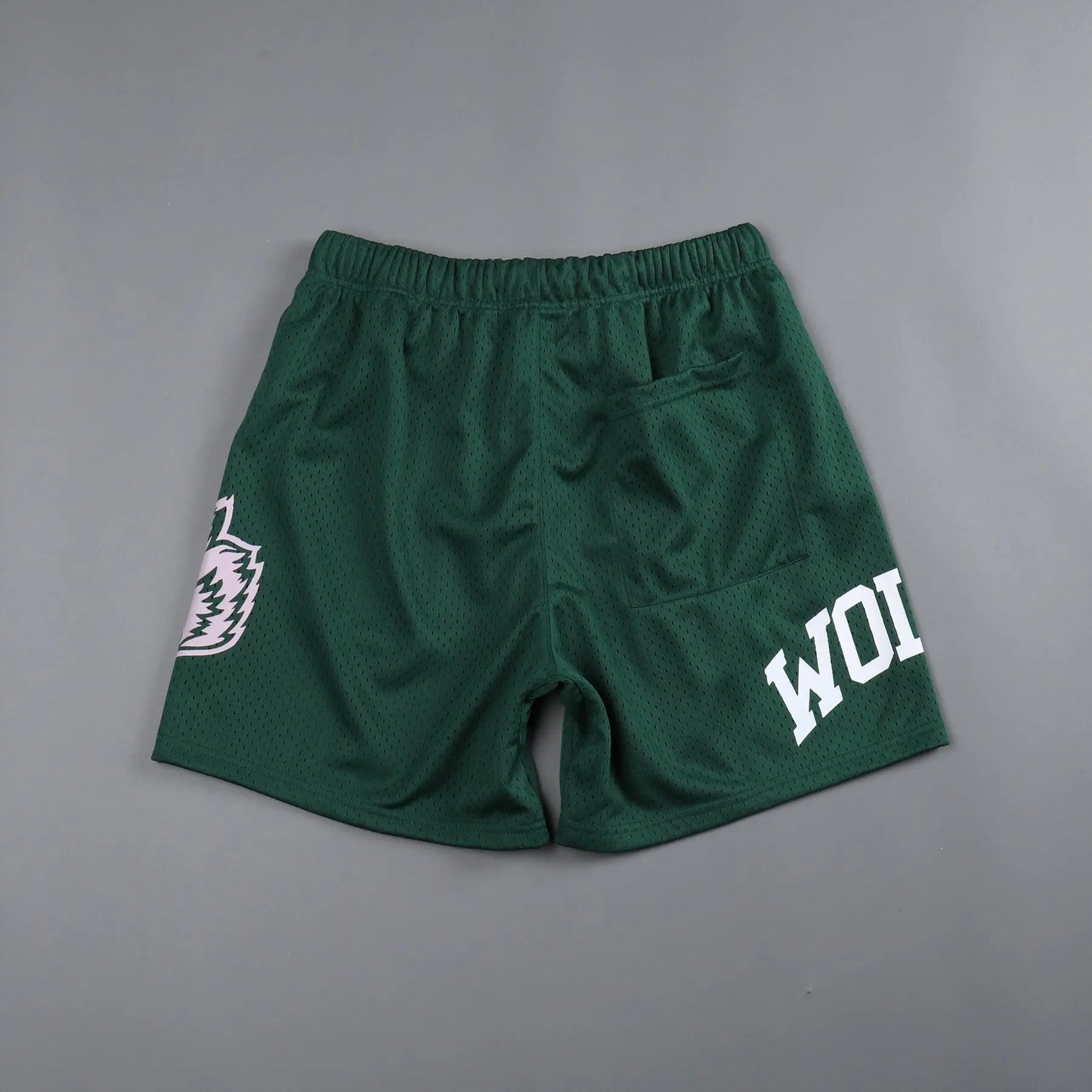 Lupus Mesh Training Shorts