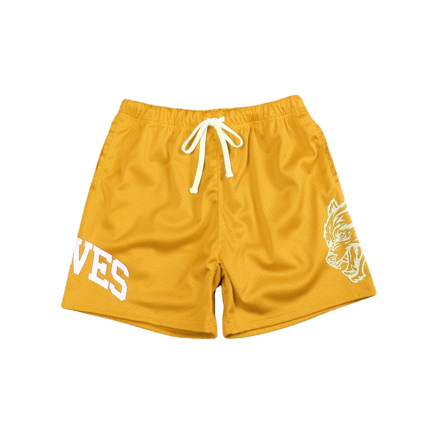 Lupus Mesh Training Shorts