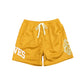 Lupus Mesh Training Shorts